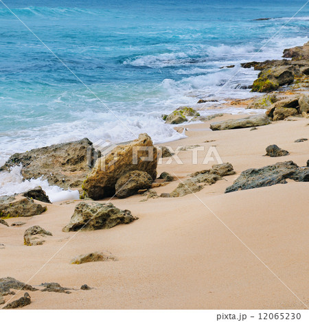 picturesque sandy coastline 12065230