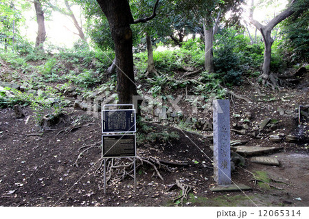 芝丸山古墳 芝丸山古墳 12065314