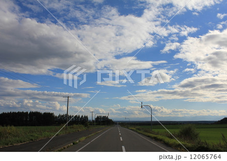 ナイタイ高原 12065764