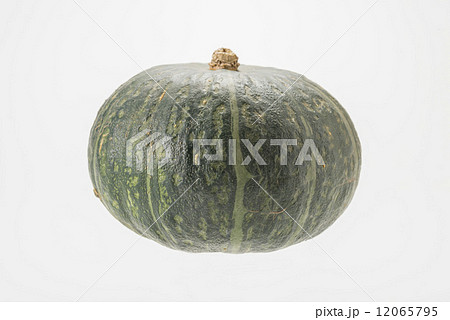 南瓜 12065795