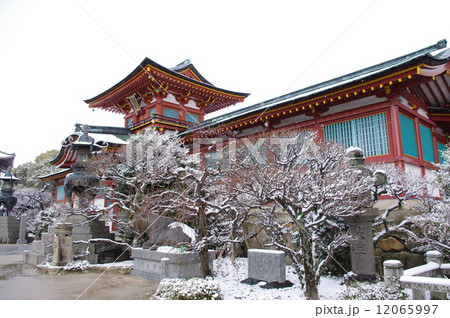 防府天満宮雪景色 12065997