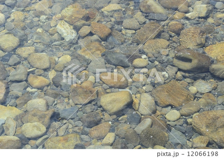 清流の川面 12066198