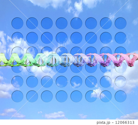 青空にある遺伝子配列のイメージ 12066313