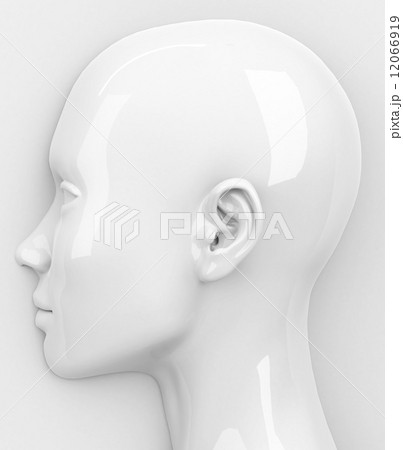 the head 12066919