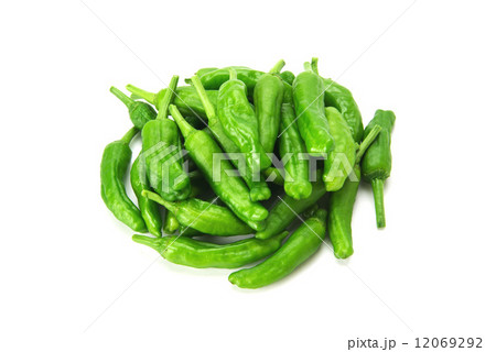 ししとう 12069292