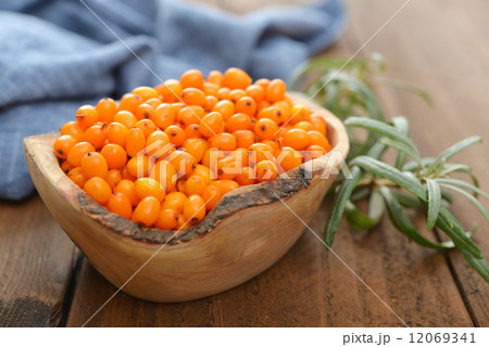 Sea-buckthorn 12069341