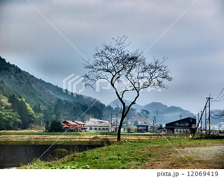 朝霧の里 12069419