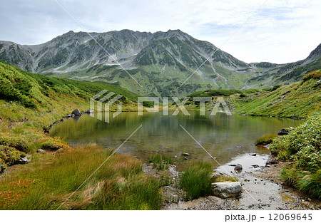 富山県　中部山岳国立公園　みどりが池と立山三山 12069645