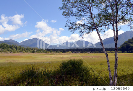初秋の小田代が原 初秋の小田代が原 12069649