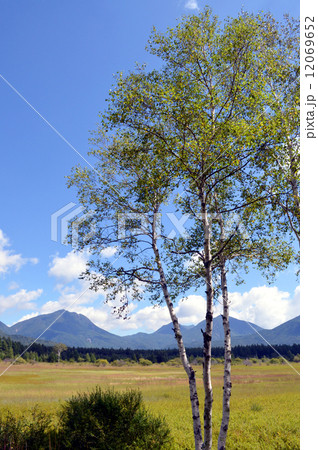 初秋の小田代が原 初秋の小田代が原 12069652