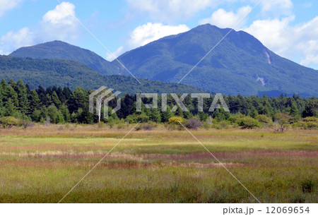 初秋の小田代が原 初秋の小田代が原 12069654