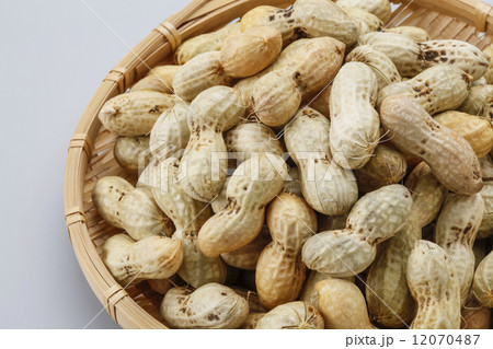 落花生 落花生 12070487