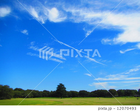原っぱ 原っぱ 12070493