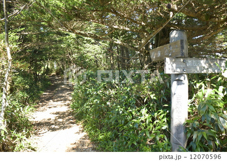 石鎚山、登山道 12070596
