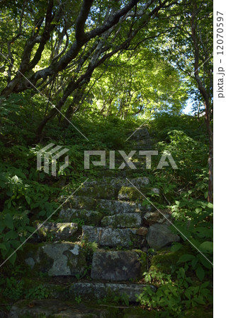 石鎚山、登山道 12070597