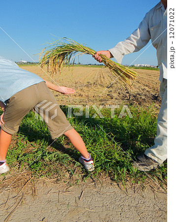農業の未来～父から子へのバトンタッチ～３ 12071022