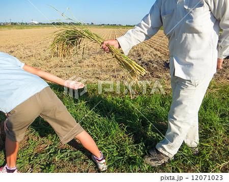農業の未来～父から子へのバトンタッチ～４ 12071023