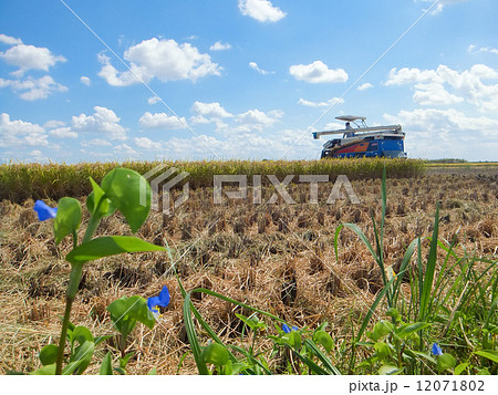 ９月の水田３ 12071802