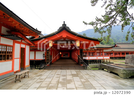 厳島神社 厳島神社 12072390