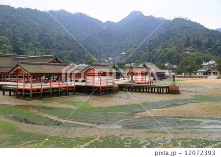 厳島神社 厳島神社 12072393