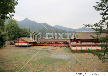 厳島神社 12072395