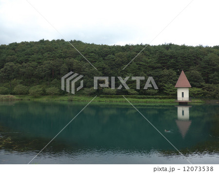 緑が池 12073538