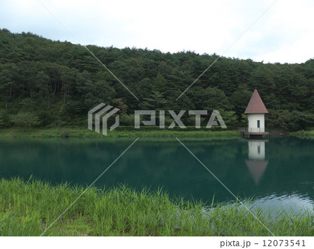 緑が池 12073541
