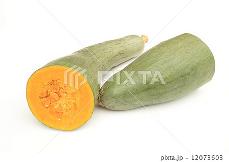 すくなかぼちゃ 12073603