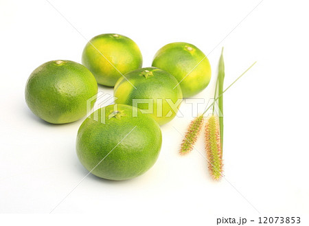 初秋の味覚 12073853