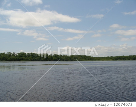 茨散沼１ 12074072