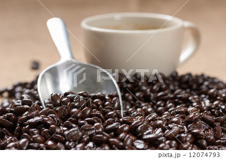 coffee bean 12074793