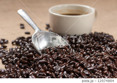 coffee bean 12074804
