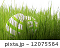 easter eggs green 12075564