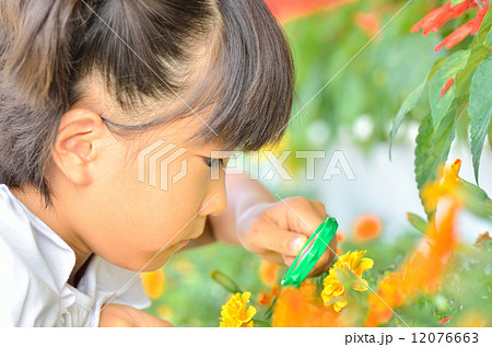 虫めがねで花を観察する女の子 虫めがねで花を観察する女の子 12076663