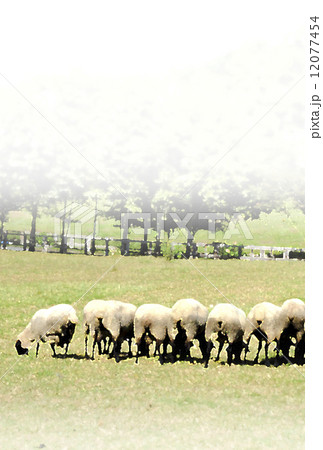 年賀／羊／2015_02 12077454