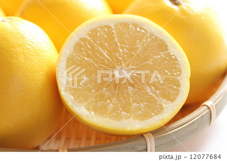 グレープフルーツ 12077684