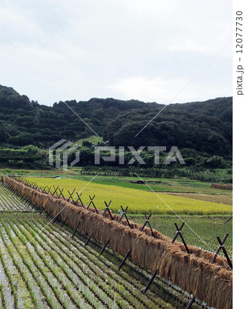 田園風景 田園風景 12077730