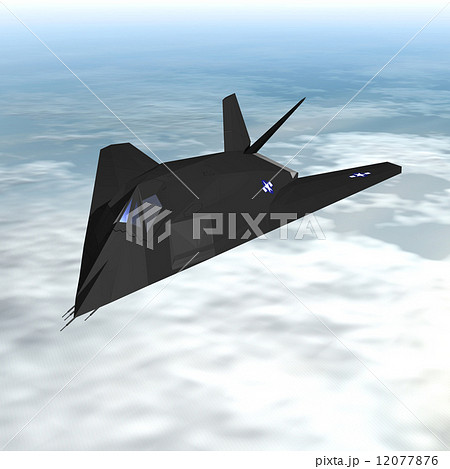 F117 F117 12077876