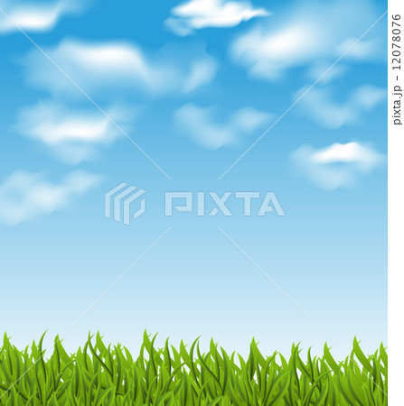 Summer background with green grass and sky Summer background with green grass and sky 12078076