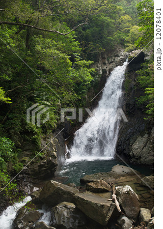 比地大滝・沖縄の滝 比地大滝・沖縄の滝 12078401