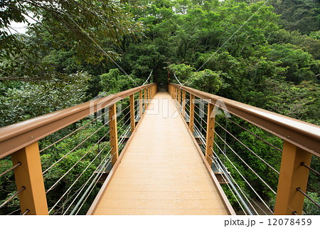 森林の吊り橋・比地大滝へ 12078459