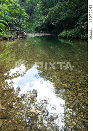 沖縄の清流・源河川 12079245