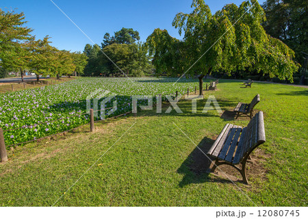 水城公園 12080745