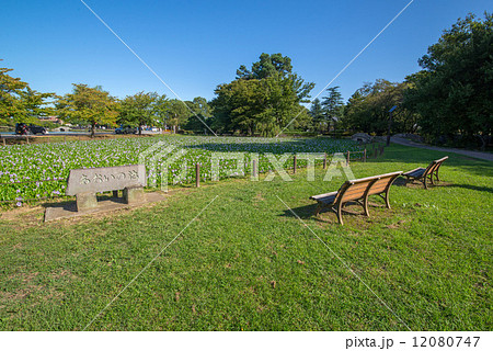 水城公園 12080747