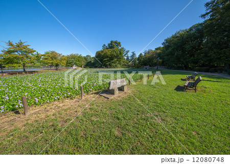 水城公園 12080748