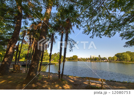 水城公園 12080753