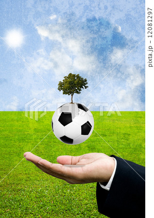 Implant the football knowledge concept Implant the football knowledge concept 12081297