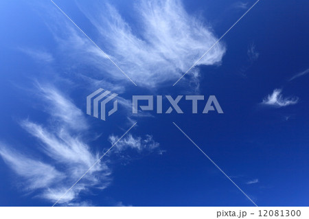 鳳凰舞う秋の空 12081300