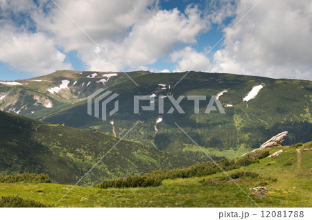 Summer mountain view Summer mountain view 12081788