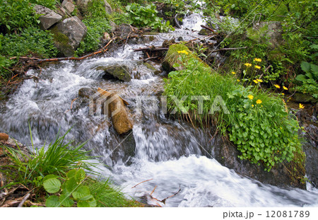 Summer mountain waterfall Summer mountain waterfall 12081789